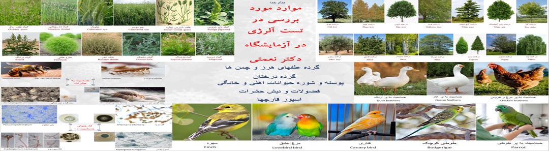 تست آلرژی تنفسی